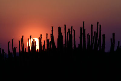 Scenic view of sunset