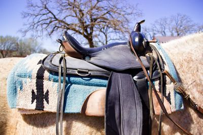 Cropped image of horse with saddle on sunny day