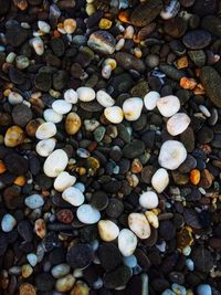 High angle view of stones