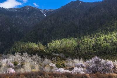 Scenic view of mountains during winter against sky