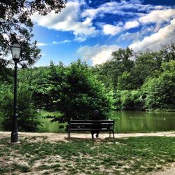 Empty bench on lakeshore