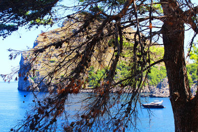 Scenic view of lake amidst trees