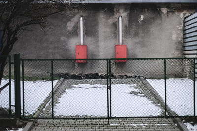 View of trees in winter