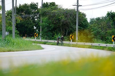 Man cycling on road by trees against sky