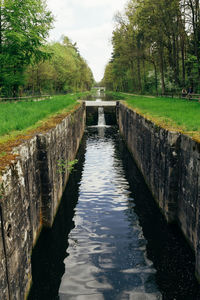 Scenic view of canal amidst trees