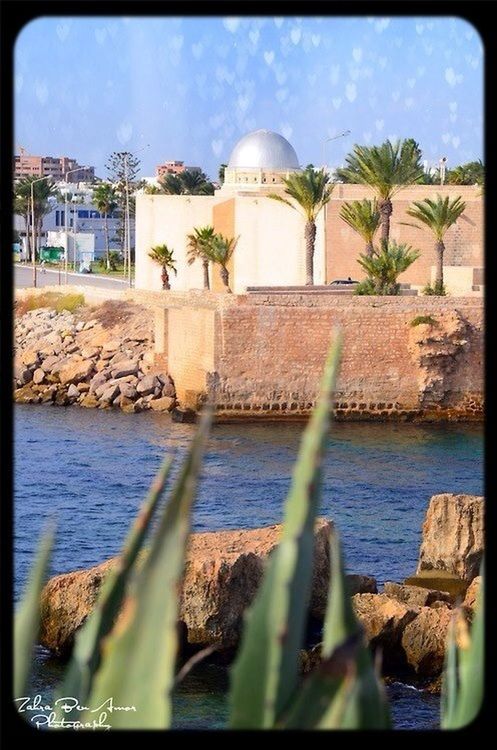 water, transfer print, built structure, architecture, auto post production filter, sky, building exterior, sea, palm tree, tree, plant, cloud - sky, rock - object, nature, cloud, beach, day, outdoors, no people, growth