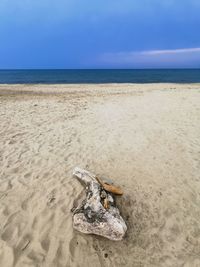 Driftwood on sand at beach against sky