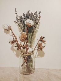 Close-up of wilted plant in vase against wall