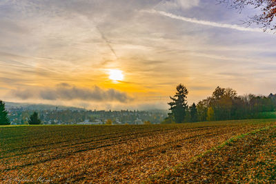 Scenic view of field against sky during sunset