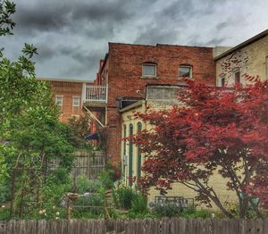 Plants growing outside house against sky