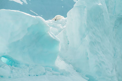 Close-up of frozen water in sea