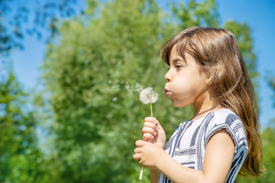 Cute girl blowing dandelion seed