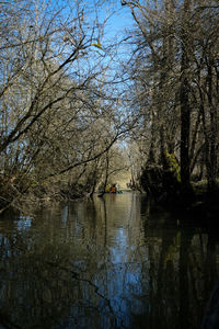 Scenic view of lake in forest against sky