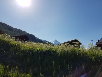 Scenic view of mountains against clear sky