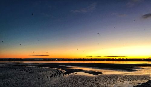 Scenic view of sea against sky during sunset