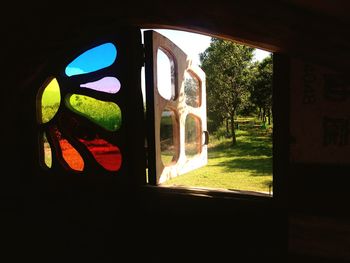 Trees seen through car window
