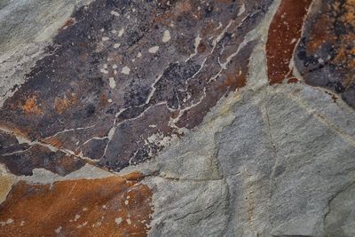 Close-up of rock on wall