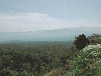 Scenic view of landscape against sky