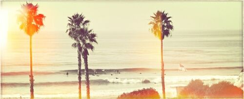 sea, beach, horizon over water, water, beauty in nature, sunset, tranquil scene, tranquility, palm tree, nature, scenics, shore, sand, sky, growth, clear sky, idyllic, orange color, no people, outdoors