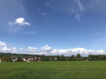Scenic view of agricultural field against sky