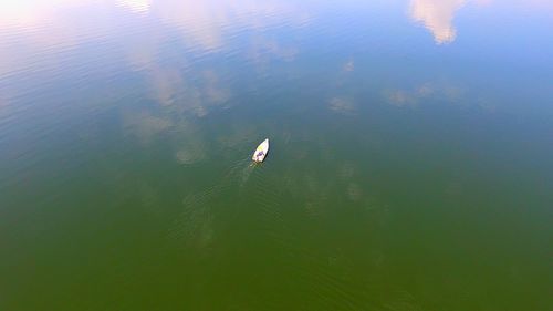 High angle view of duck swimming on lake