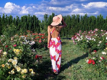 Rear view of woman in dress and hat in a garden of roses