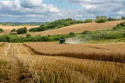 Scenic view of agricultural field against sky