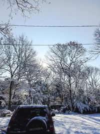 Bare trees against sky during winter