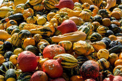 Full frame shot of pumpkins