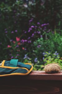 Close-up of bag and string on table against plants