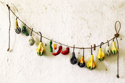 Dried vegetables on a string