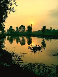 Silhouette trees by lake against sky during sunset