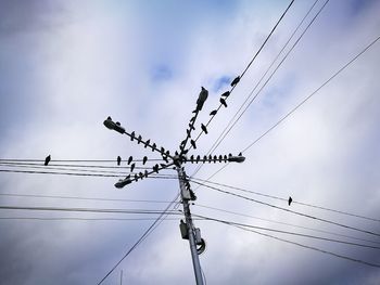 Low angle view of birds perching on cable against sky