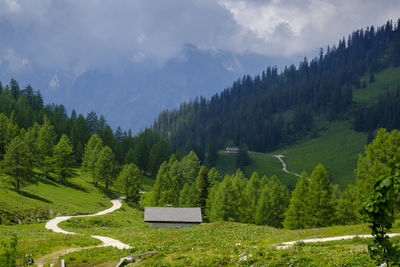 Scenic view of trees and mountains against sky