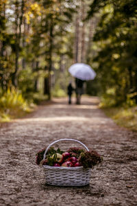 Rear view of woman holding umbrella