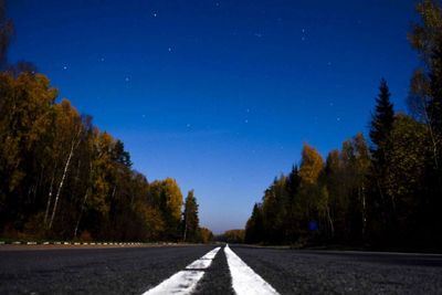 Empty road along trees