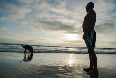 Silhouette man with dog walking on beach against sky