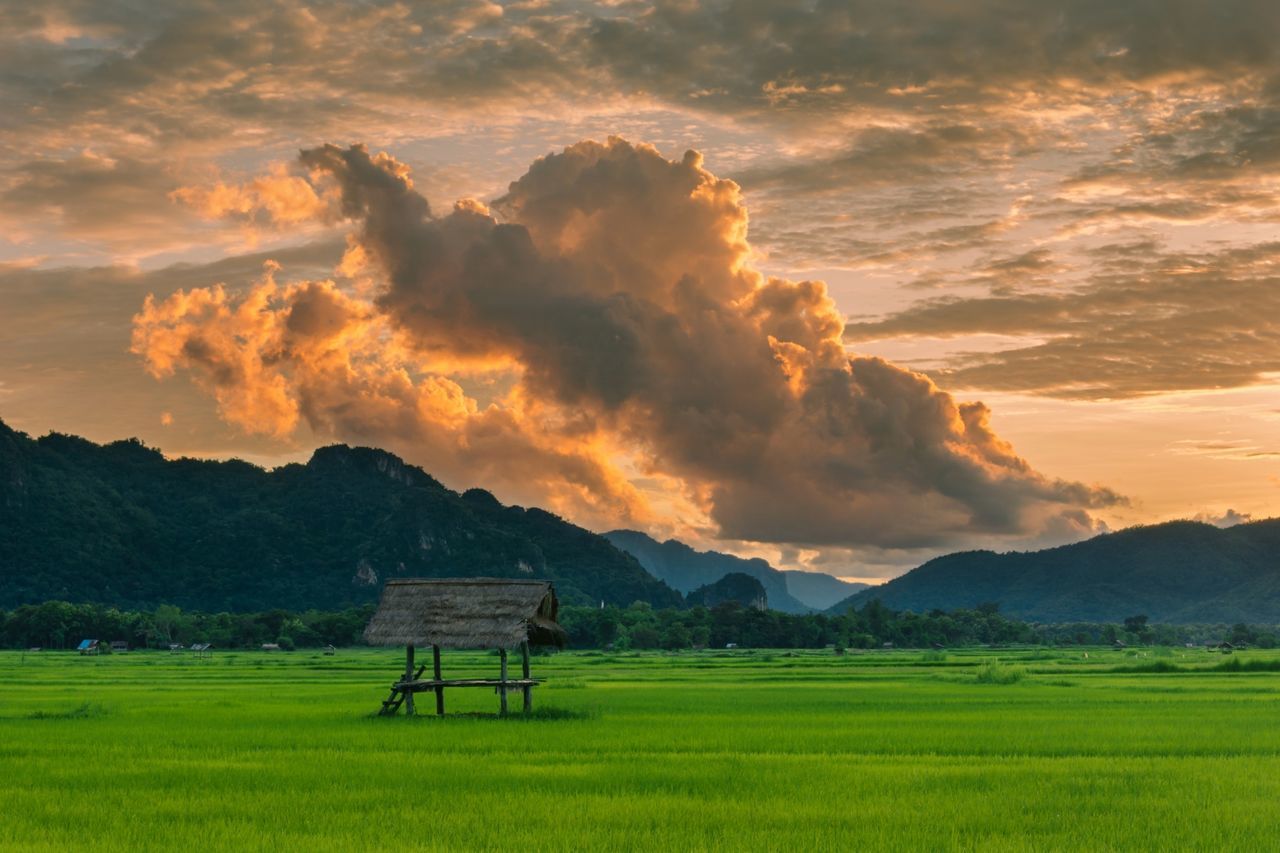 sky, cloud - sky, sunset, beauty in nature, scenics - nature, landscape, tranquil scene, field, nature, environment, tranquility, plant, land, grass, green color, idyllic, orange color, non-urban scene, no people, outdoors
