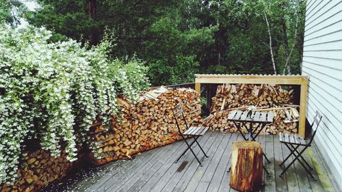 Stack of logs in yard