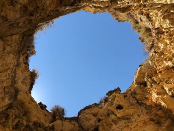 Low angle view of trees against clear blue sky