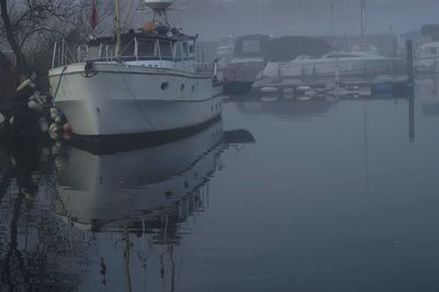 Boats moored at harbor against sky