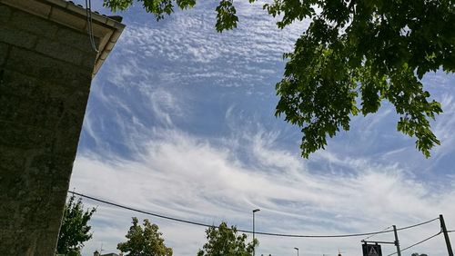 Low angle view of trees against cloudy sky