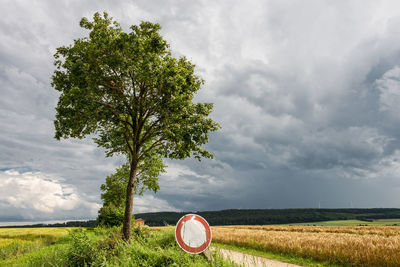 Road sign and tree against cloudy sky