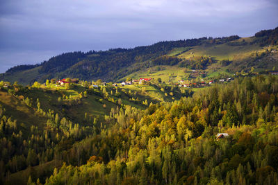 Scenic view of trees on field against sky