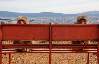 View of people sitting on land