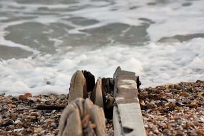 Surface level of stones on beach