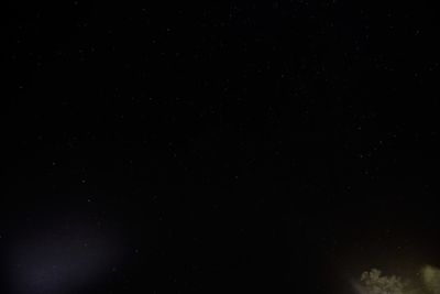 Low angle view of star field at night