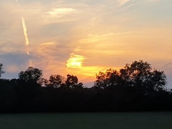 Silhouette trees against sky during sunset