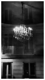 Close-up of flowers against blurred background