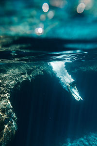 Young man diving in sea